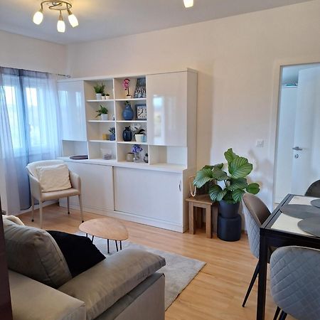 Apartment Dorina Buje Extérieur photo