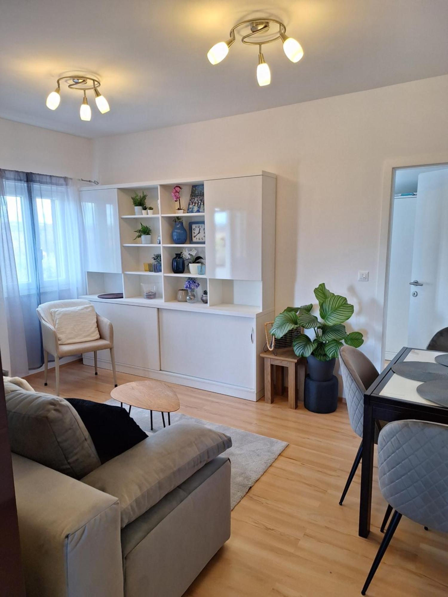 Apartment Dorina Buje Extérieur photo