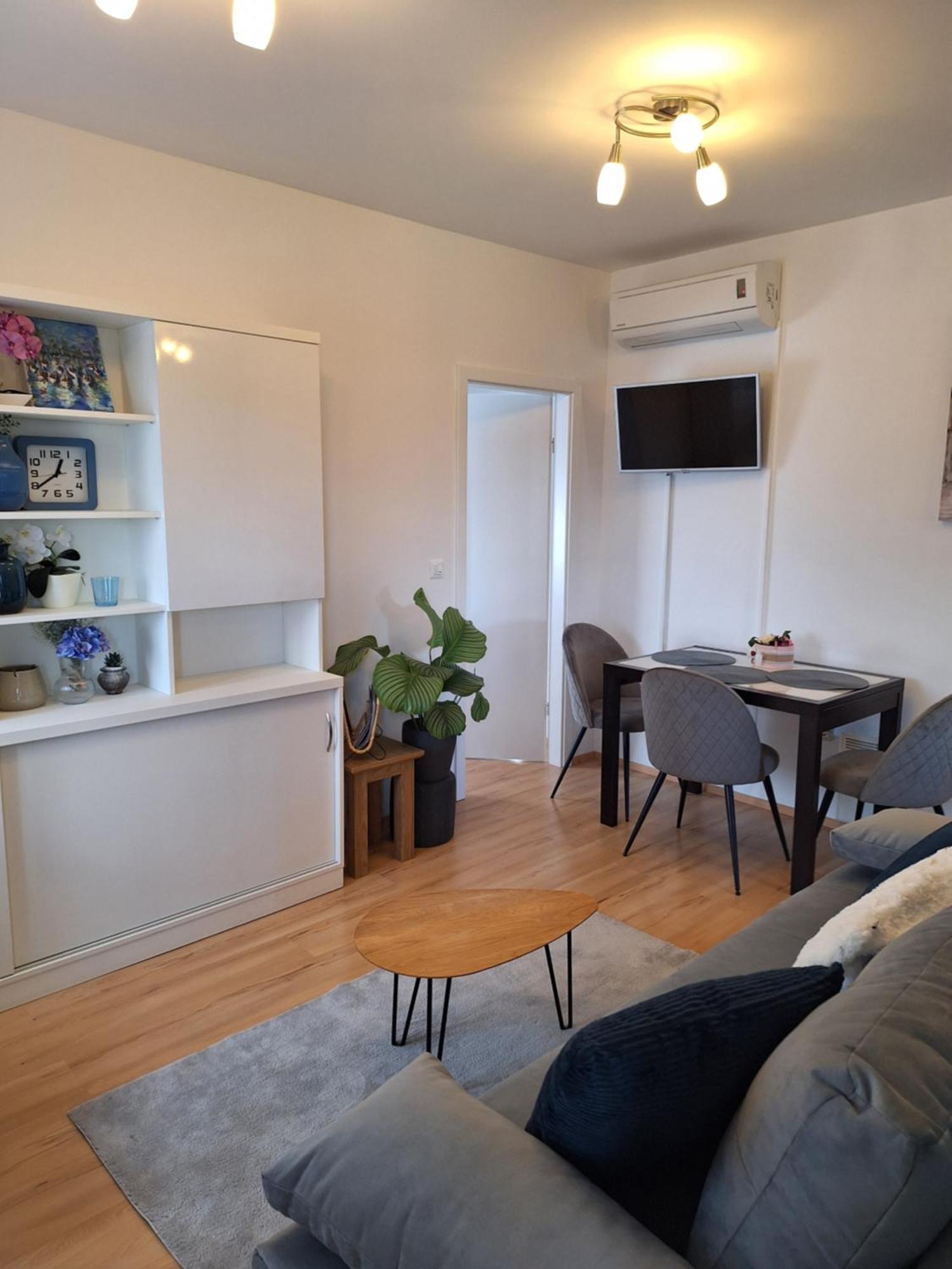 Apartment Dorina Buje Extérieur photo