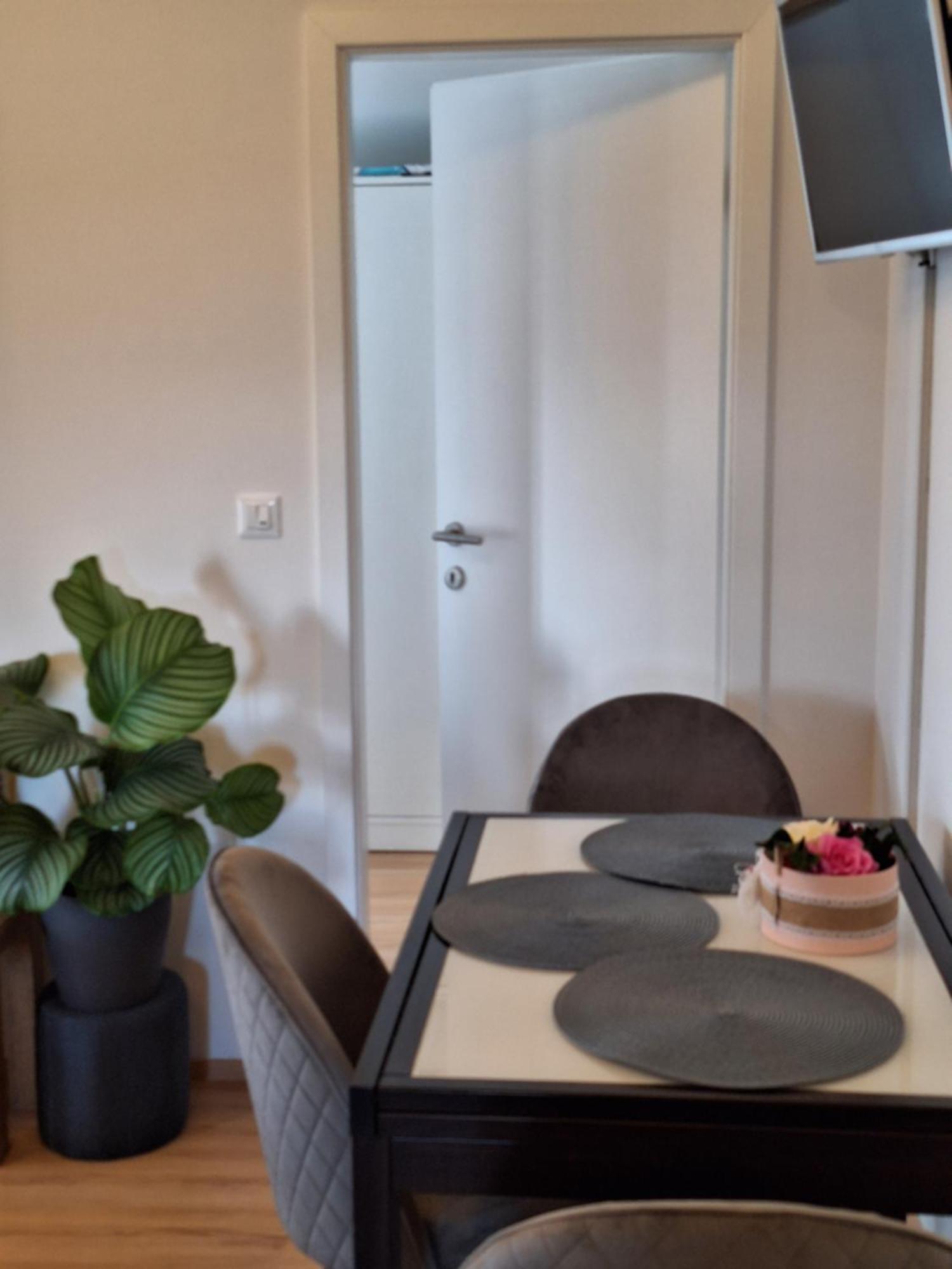 Apartment Dorina Buje Extérieur photo
