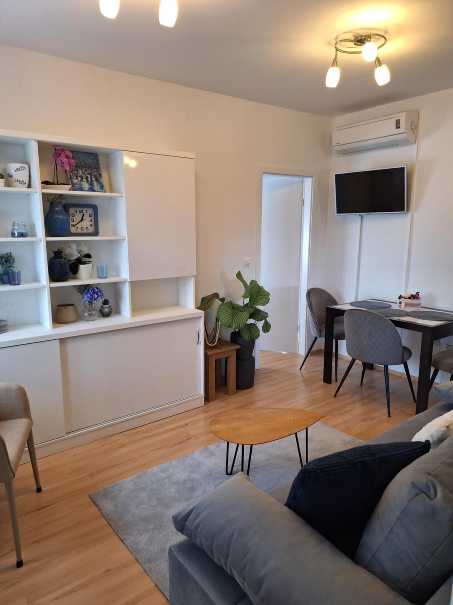 Apartment Dorina Buje Extérieur photo