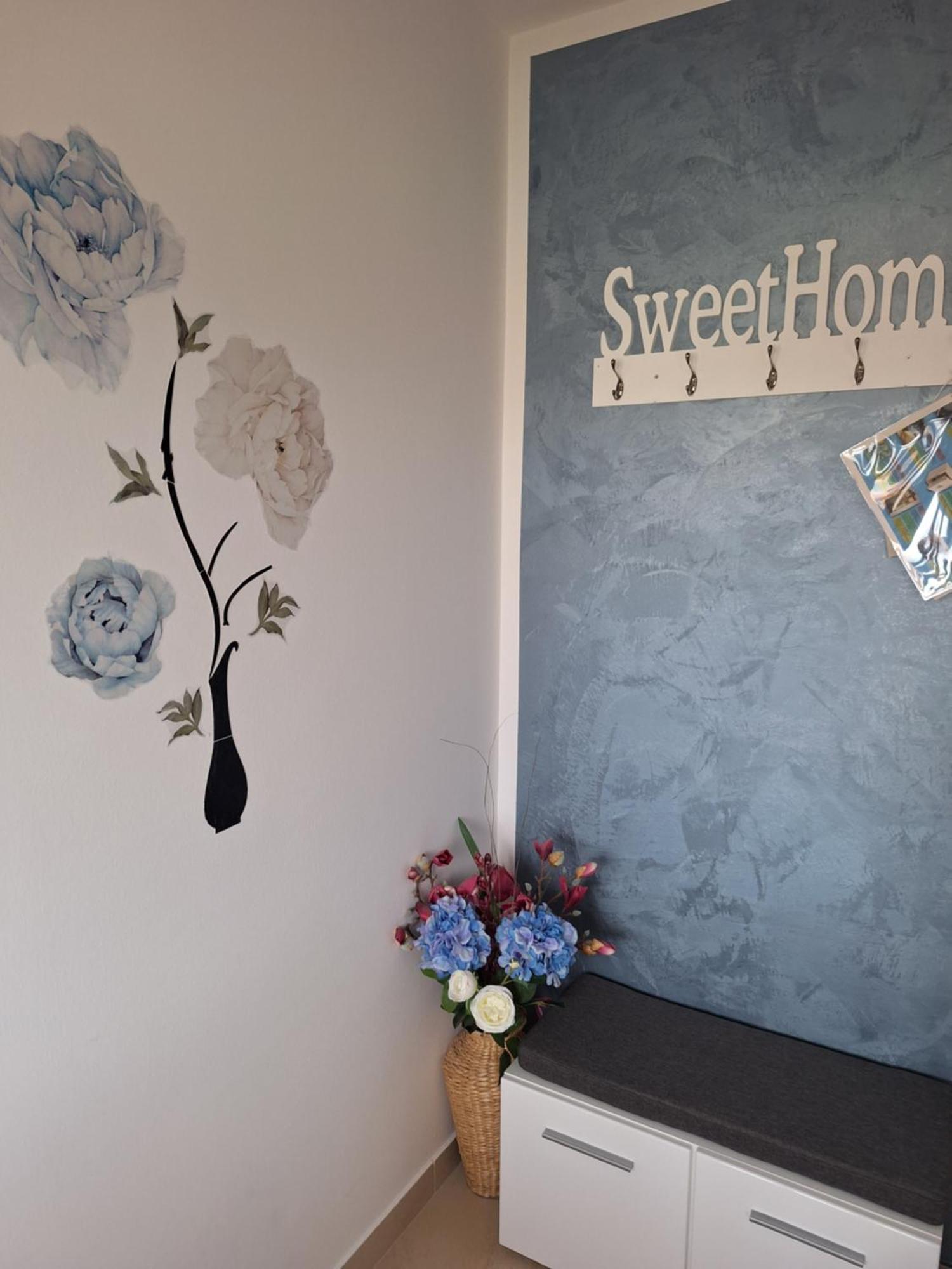 Apartment Dorina Buje Extérieur photo
