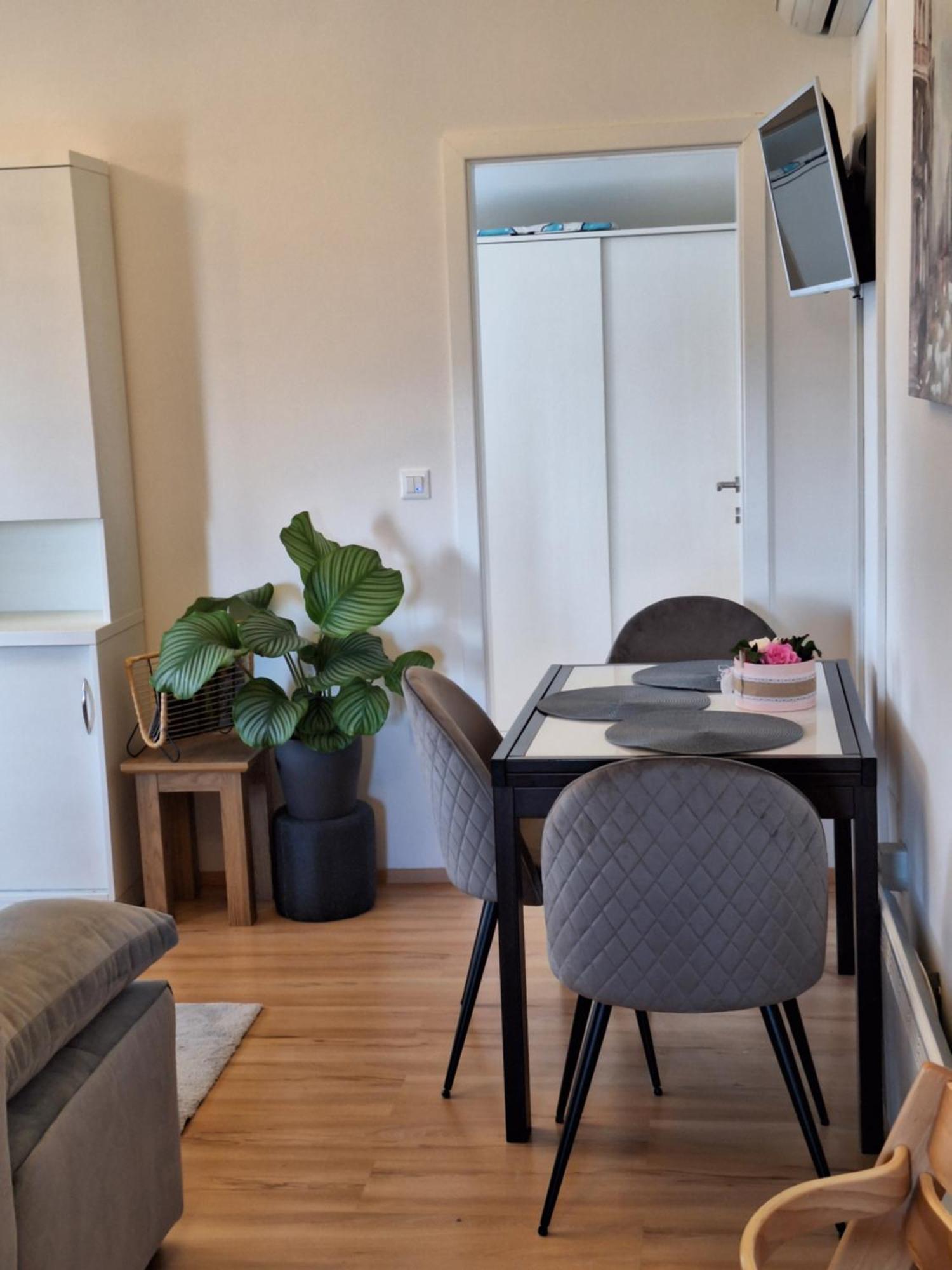 Apartment Dorina Buje Extérieur photo