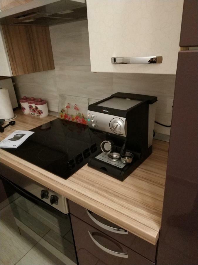 Apartment Dorina Buje Extérieur photo