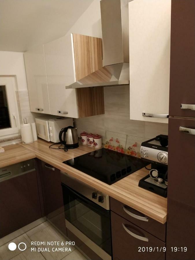 Apartment Dorina Buje Extérieur photo