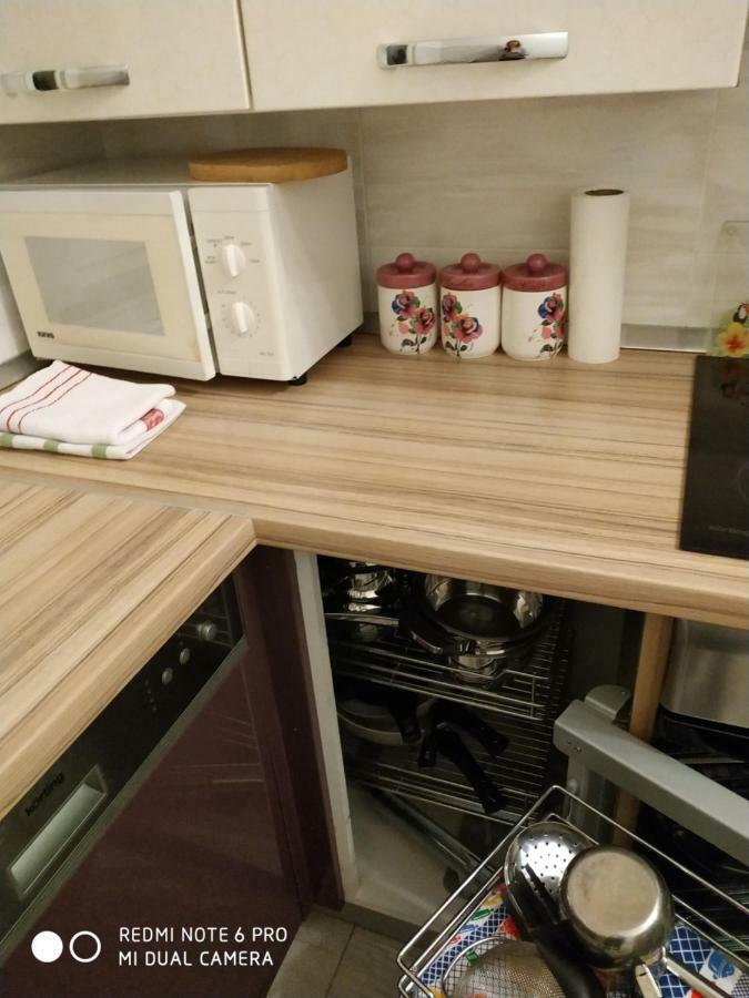 Apartment Dorina Buje Extérieur photo