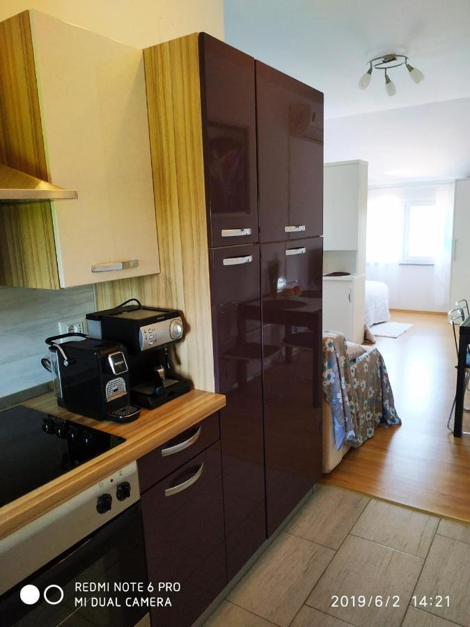 Apartment Dorina Buje Extérieur photo